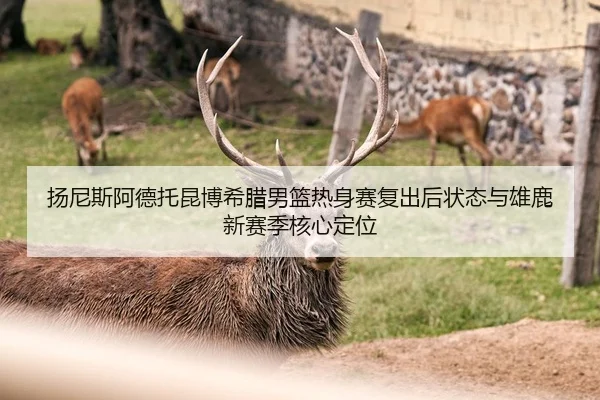 扬尼斯阿德托昆博希腊男篮热身赛复出后状态与雄鹿新赛季核心定位